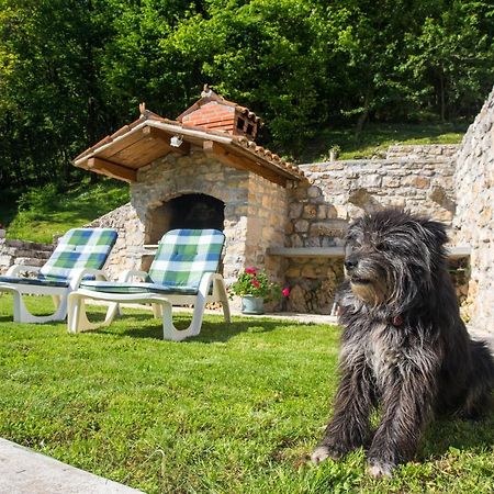 Villa Sirotnjak 洛夫兰 外观 照片